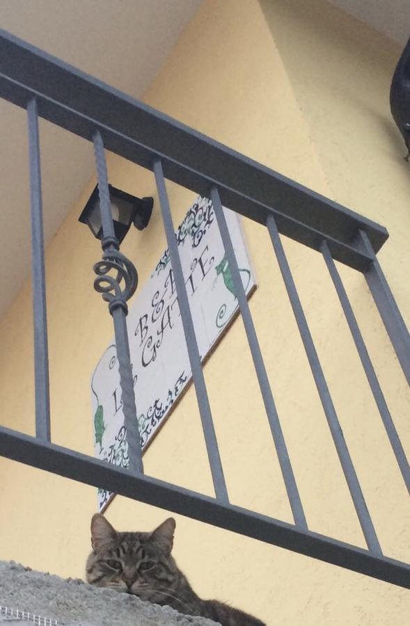 Le Gatte Bed & Breakfast Eboli Exterior photo